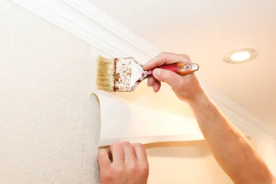Pose de papier peint à la Pesse — revêtements muraux et toiles de verre